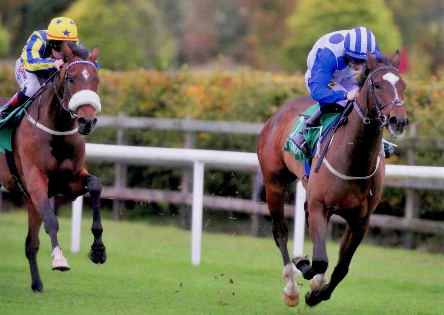DINOZZO wins first time out at Navan on October 21st 2015